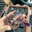 Small image 5