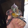Small image 5