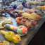 Small image 7