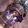 Small image 4