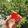 Small image 2