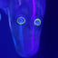Small image 6