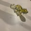 Small image 5