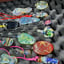 Small image 8