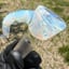 Small image 3