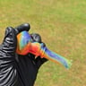 Small image 2