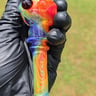 Small image 3