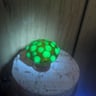 Small image 3