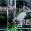 Small image 7