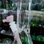 Small image 7