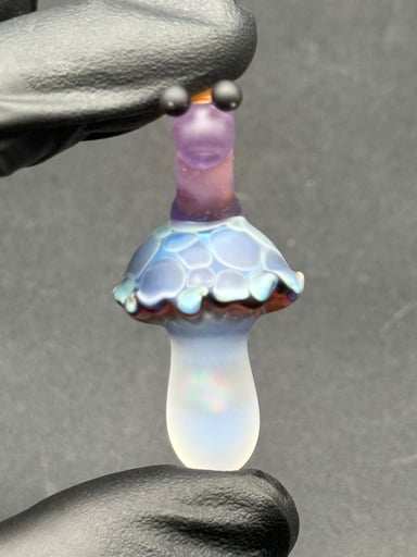 Preview pic of Mushroom wanderer