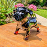 Small image 3