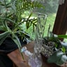 Small image 1