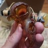 Small image 2