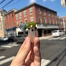 Small image 0
