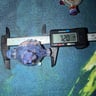 Small image 6