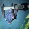 Small image 5