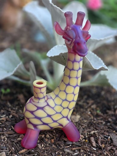 Preview pic of Robertson Giraffe