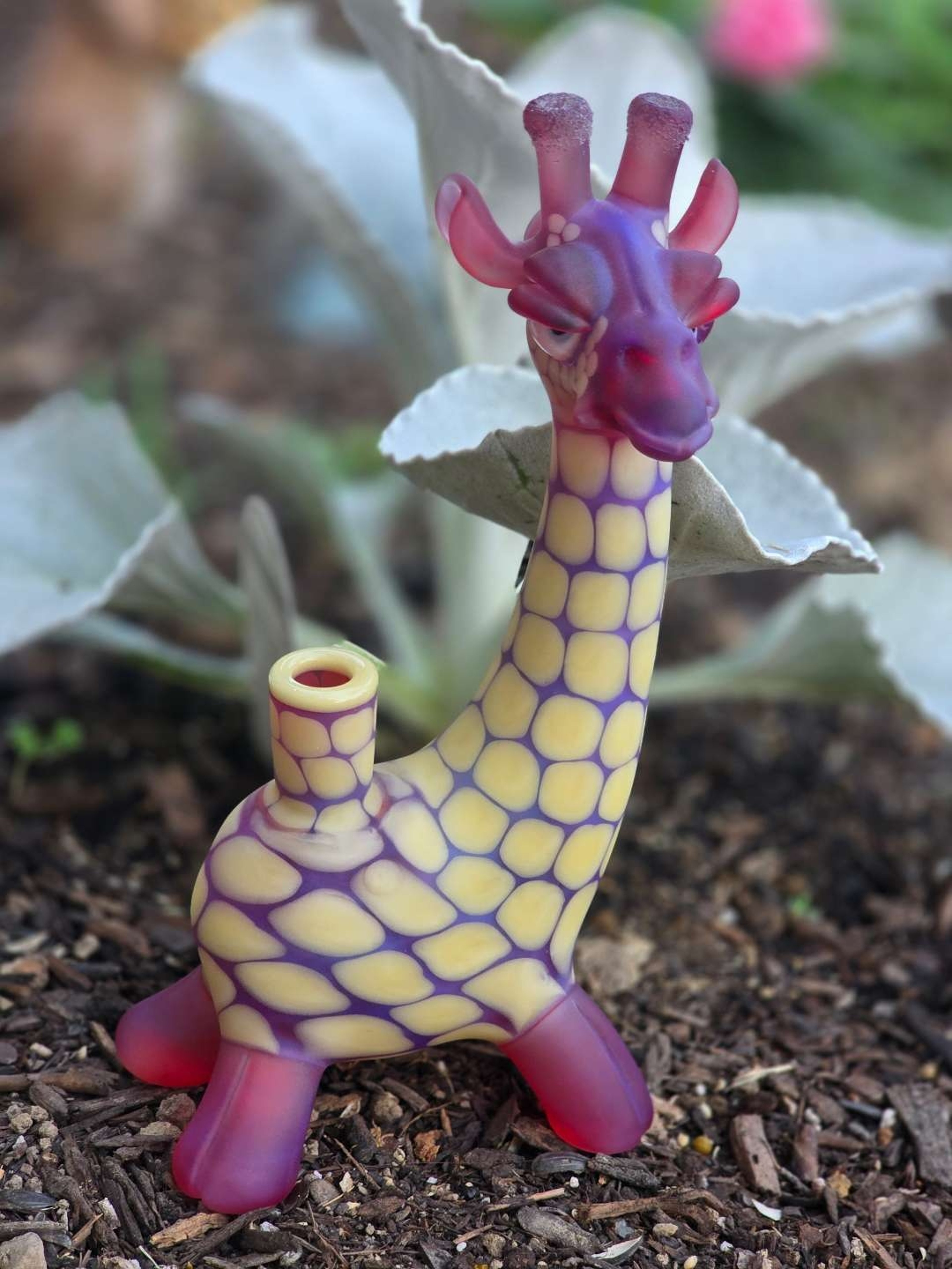 Robertson Giraffe image 0