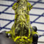 Small image 6