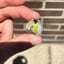 Small image 4