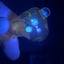 Small image 5