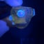 Small image 7