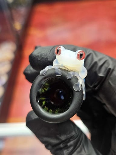 Preview pic of Johnathan Paul Bennet x Kemgtaro Carved Chillum