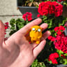 Small image 4