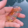 Small image 1