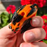Small image 4