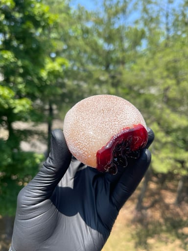 Preview pic of Jelly Donut Dry Pipe