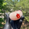 Small image 4