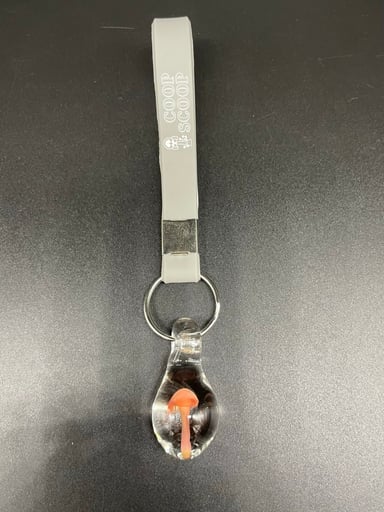 Preview pic of Coop Scoop pendant keychain