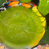 Small image 4