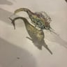 Small image 0