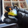 Small image 2