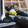Small image 3