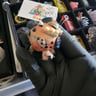 Small image 3
