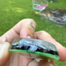 Small image 4