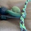 Small image 7