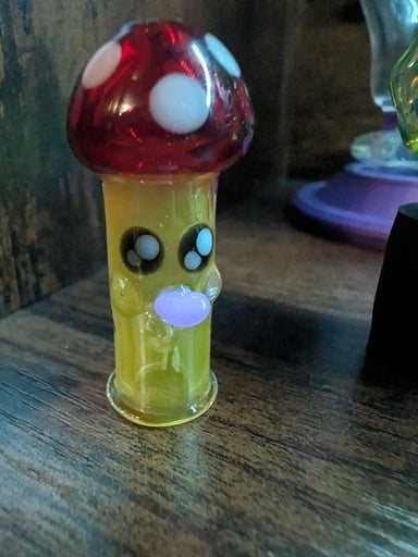 Preview pic of Mushy pivot top