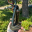 Small image 7