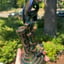 Small image 9