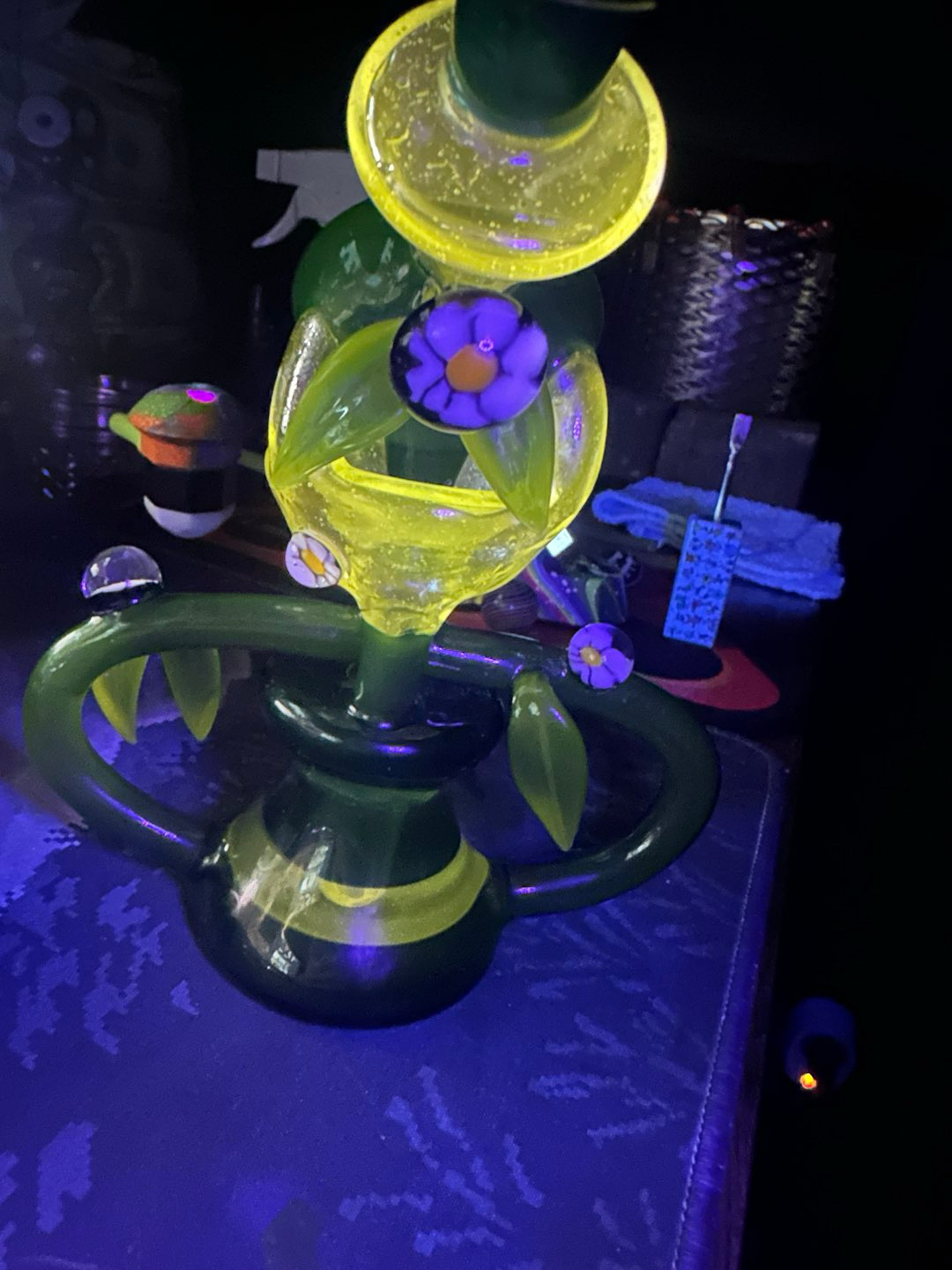 Preview pic of Terp continuum