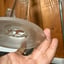 Small image 6