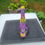 Small image 8