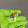 Small image 2