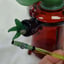 Small image 5