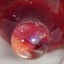Small image 6